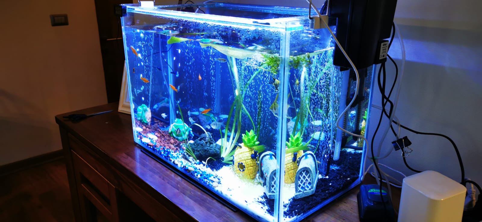 Kit Acuario 72L Completo Instalado