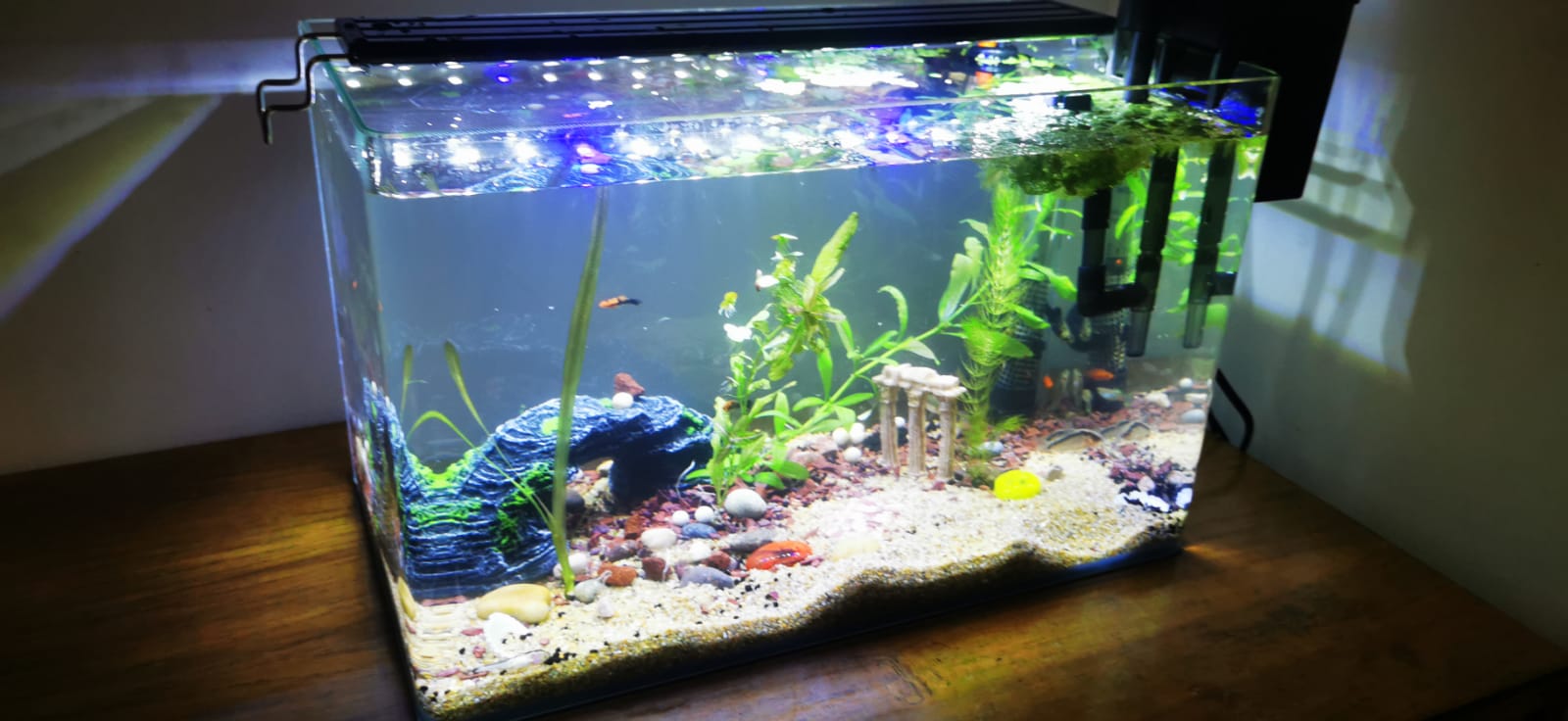 KIT Acuario Completo Instalado 23 LTS.