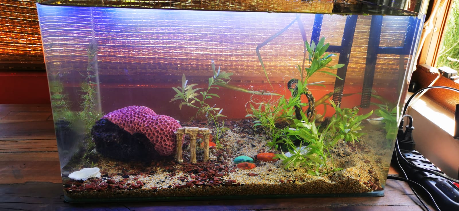 KIT Acuario Completo Instalado 57 LTS.