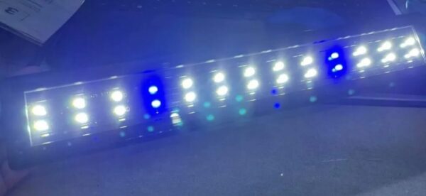 Kit Acuario 16Lts+Calefactor+Filtro+Luz led - Imagen 3